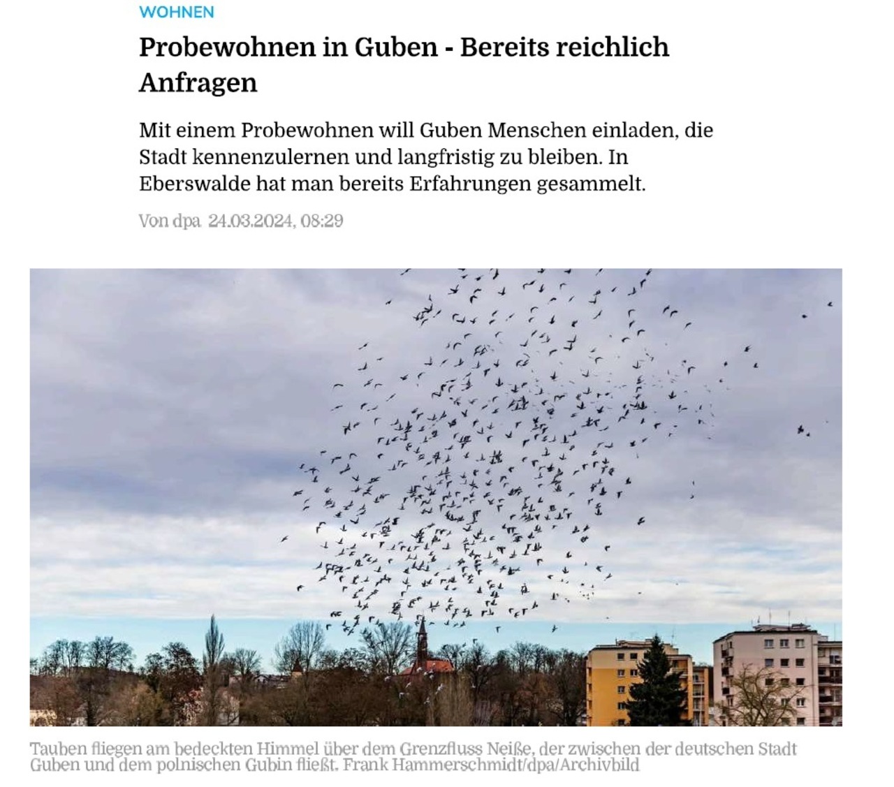 2024_03_24_Volksstimme_Probewohnen1.jpg