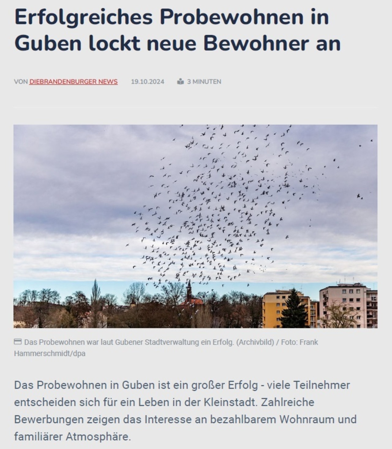 2024_10_19_dieBrandenburgerNews-Probewohnen.jpg