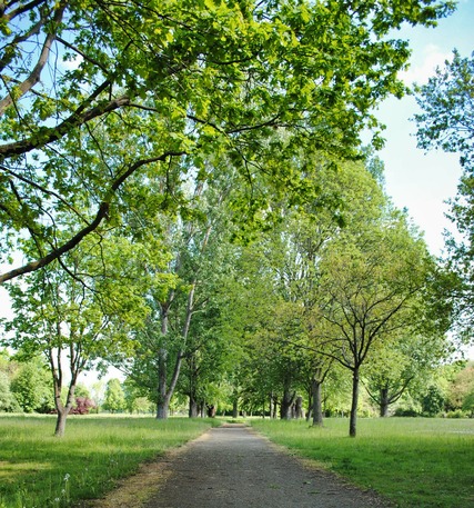 Gubener Stadtpark, Foto: Mut Guben e.V.